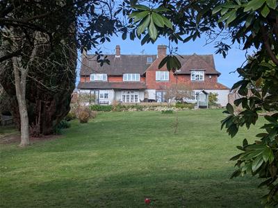 Picture 65